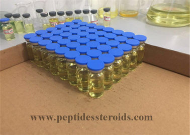 Testosteron Propionat 100 Steroid Anabolik Suntik CAS 57-85-2