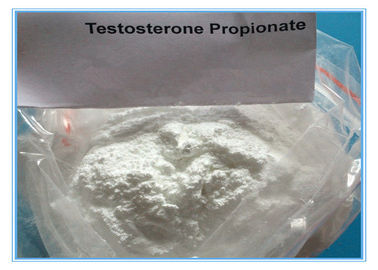 Bubuk Testosteron CAS 57-85-2 Uji Propinoat Suntik Steroid