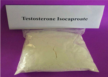 Testosterone Isocaproate Testosterone Powder For Bodybuilding