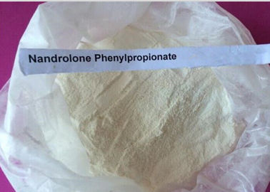 Serbuk Putih Nandrolone Steroid / Durabolin Nandrolone Phenylpropionate CAS 62-90-8