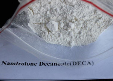 Bubuk Putih CAS 7207-92-3 Deca Durabolin Steroid, Nandrolone Decanoate Powder SGS Disetujui