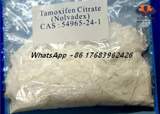 CAS 54965-24-1 Nolvadex Tamoxifen Sitrat Estrogen Blocker Steroid Bubuk Kristal Putih