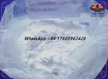 Bubuk Putih Steroid Anti Estrogen Tamoxifen Sitrat CAS 54965-24-1 Nolvadex CAS 54965-24-1